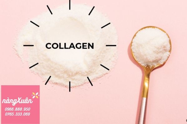 Collagen dạng bột Nature’s Way . Collagen là gì?