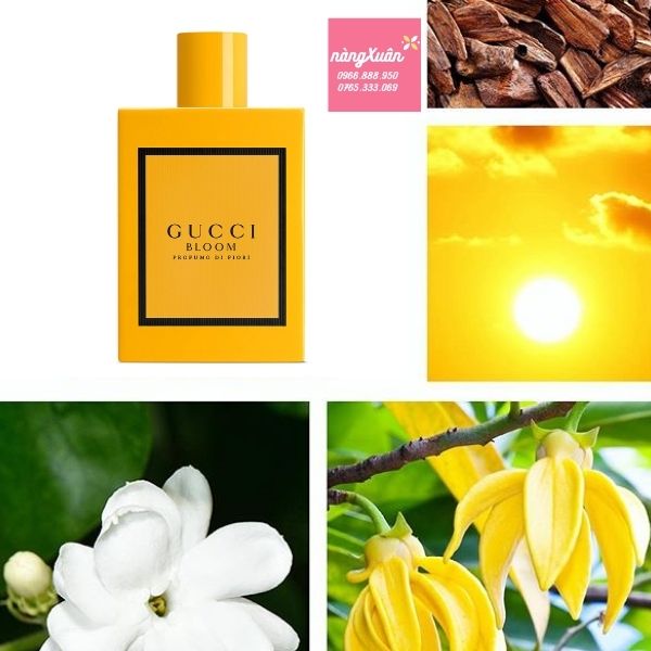 Mùi hương Gucci Bloom Profumo Di Fiori EDP