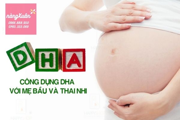 Thực phẩm chức năng bổ sung DHA cho bà bầu