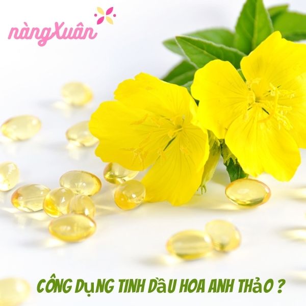 Công dụng của tinh dầu hoa anh thảo