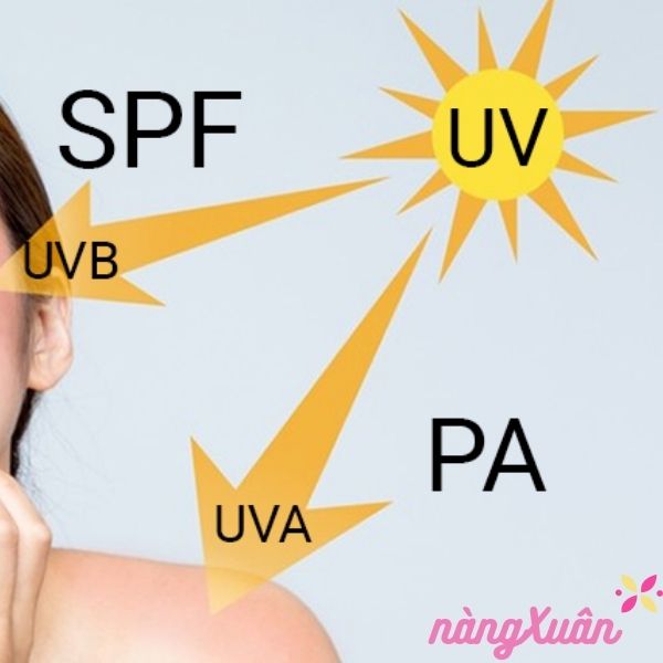 Chỉ số chống nắng SPF và PA là gì ?