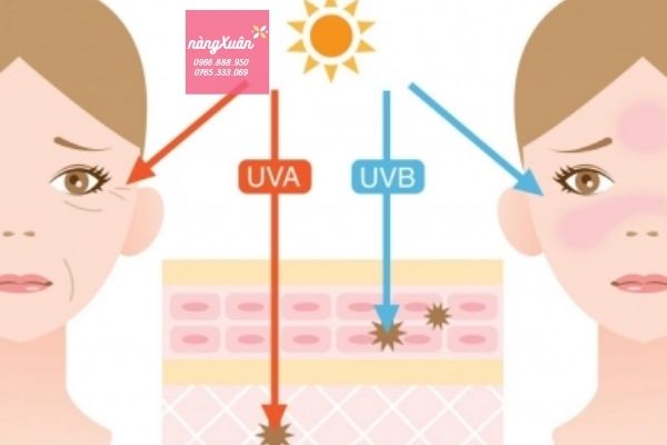 UVA / UVB là gì ?