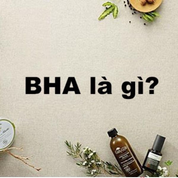 BHA là gì? Những điều cần biết về BHA