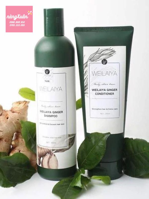 Bộ dầu gội xả gừng WEILAYA Ginger giảm rãy rụng.
