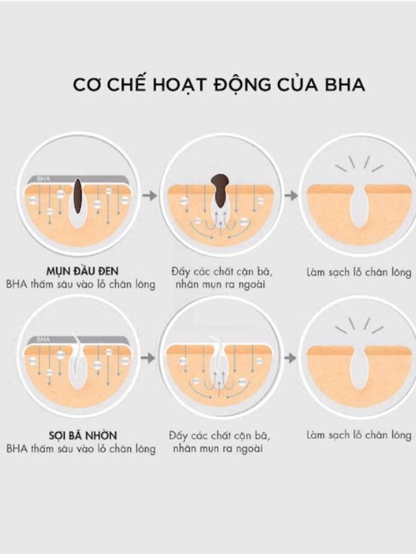 Cơ chế hoạt động của BHA