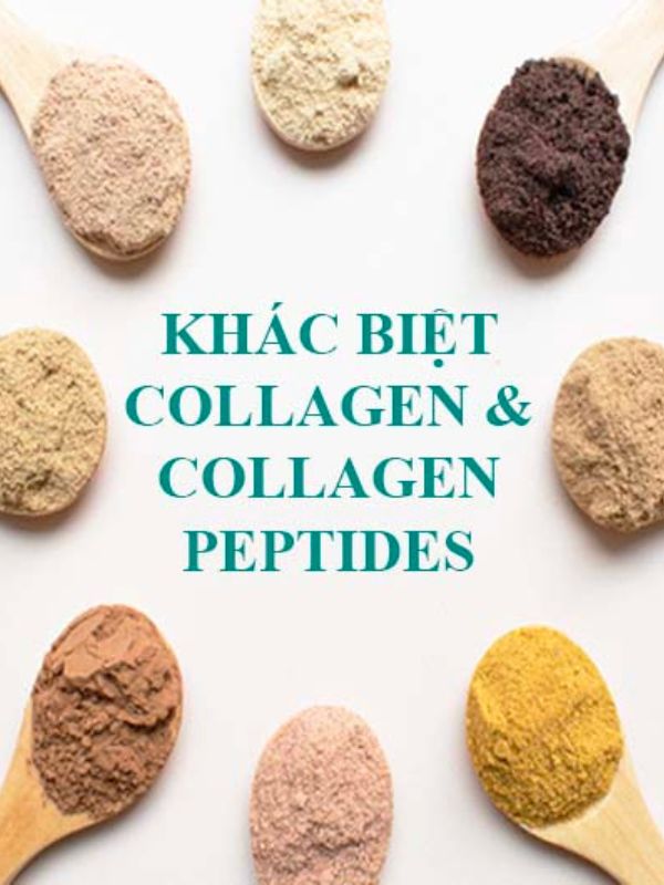 Sự khác biệt Collagen và Peptide