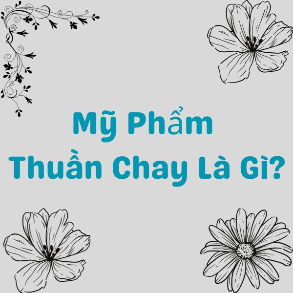 Mỹ Phẩm Thuần Chay Là Gì?