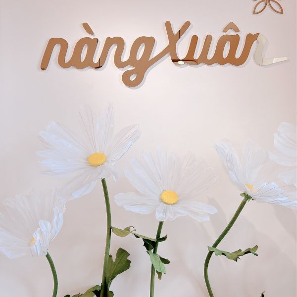 Shop Mỹ Phẩm Nàng Xuân Authentic Nha Trang